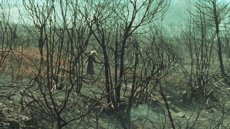 Three Films That Influenced: Oliver Laxe's "Fire Will Come"